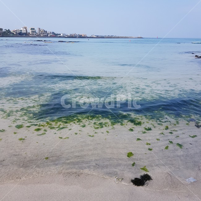 제주도,바다,제주바다,풍경,제주도풍경,korea,jeju,islands,sea,해변,nature,자연,산호초,바닷가