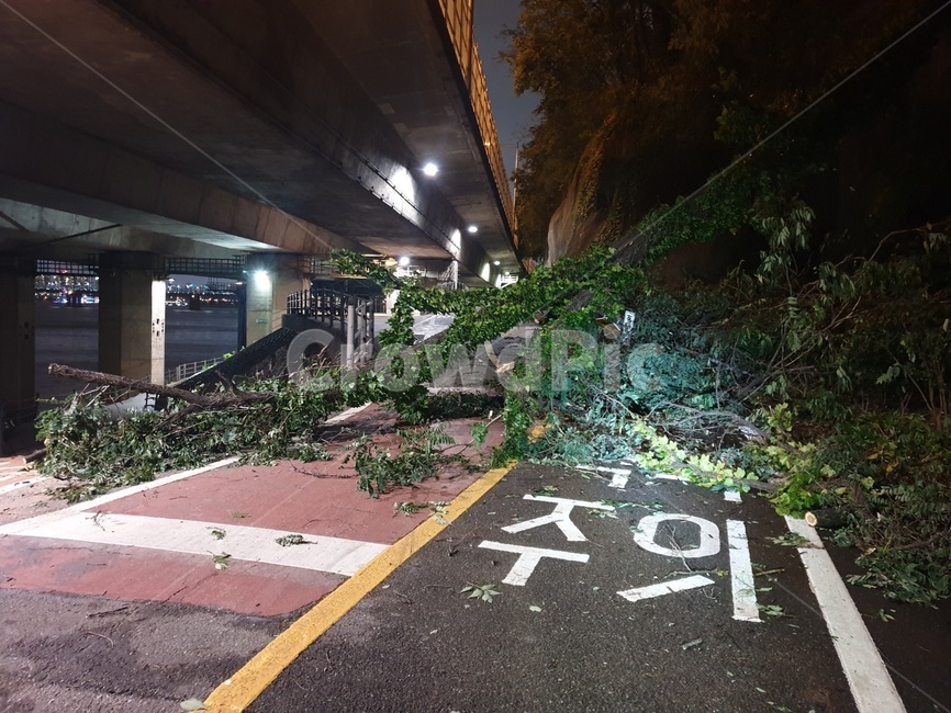 태풍,링링,자전거도로,태풍피해,태풍링링