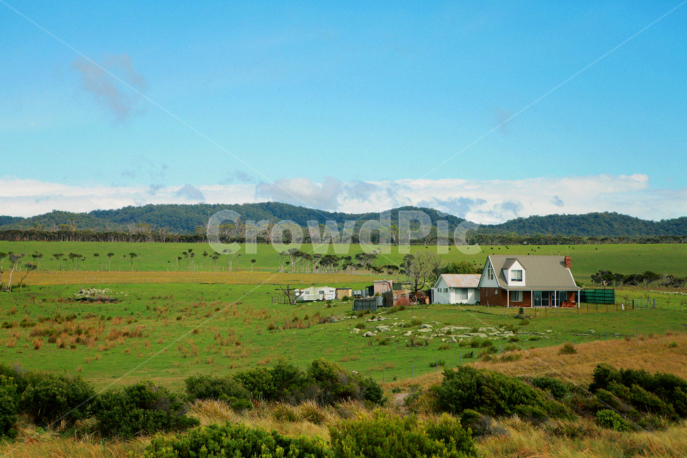 nature,자연,outdoors,옥외,field,들,grassland,목초지,목장,하늘,구름,집,주택,초록