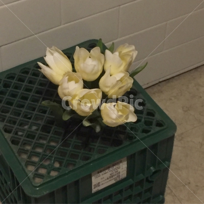 우유통,꽃,조화,연출,감성사진,감성,인테리어,flower,꽃,flower