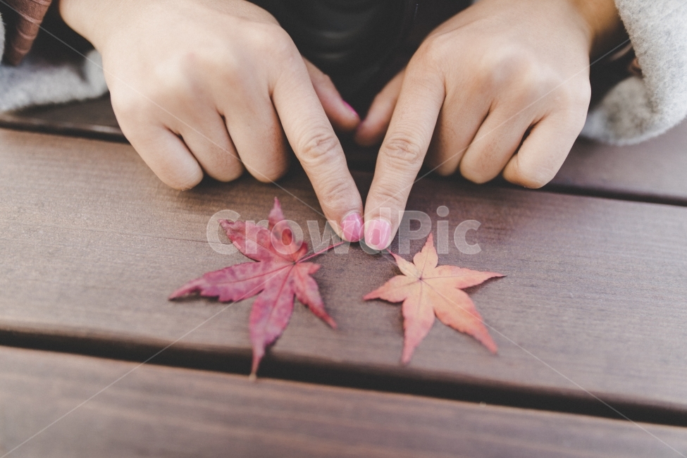 낙엽,단풍,손,풍경,가을,autumn,fall,hand,landscape,가을,계절,fall,autumn,season,감성,sensible,feeling,plant,식물,leaf,잎