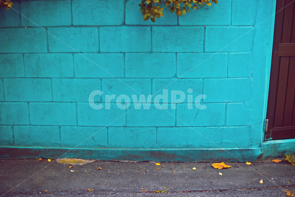 담장,골목길,감성사진,낙엽,담벼락,넝쿨,아스팔트,푸른색,출입문,색감,가을,적적함,쓸쓸함,동네,벽돌,모퉁이,나뭇잎,청록색,철문,가을느낌,건축물,건물외관,exterior,building,structure,architecture,construction
