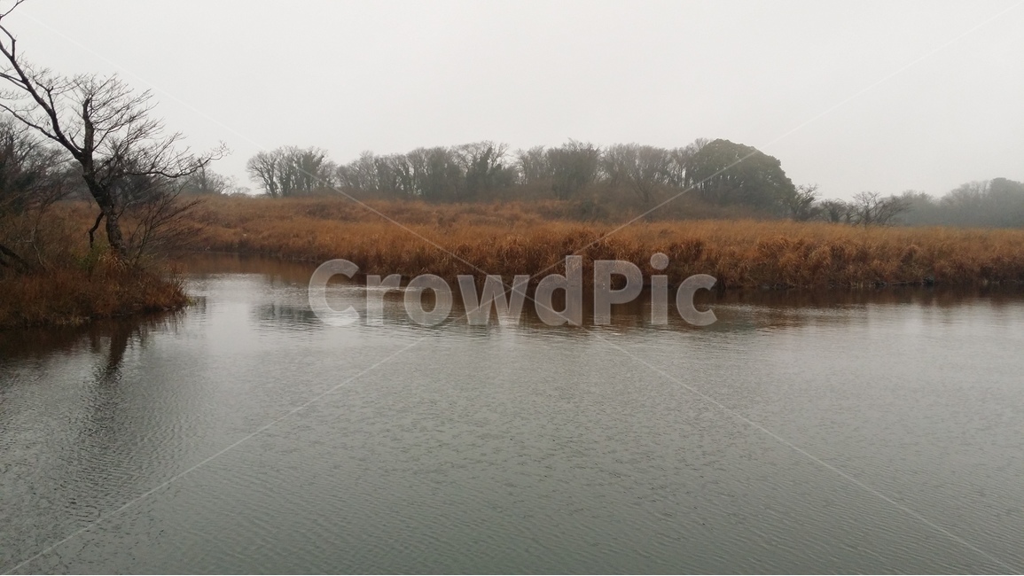 자연,풍견,강,나무,하늘,자연풍경,나무들,nature,자연,풍경,nature,landscape,water,물,outdoors,옥외