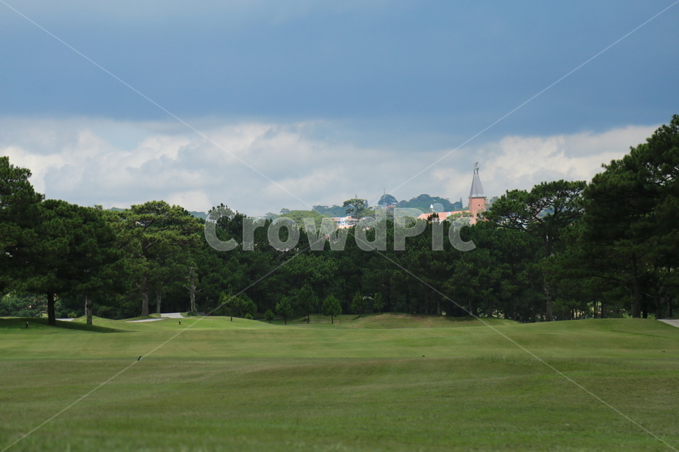 field,들,outdoors,golfcourse,골프코스,골프,golf,풍경,자연,nature