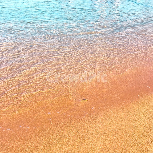 자연,바다,해수욕장,해변,물,풍경