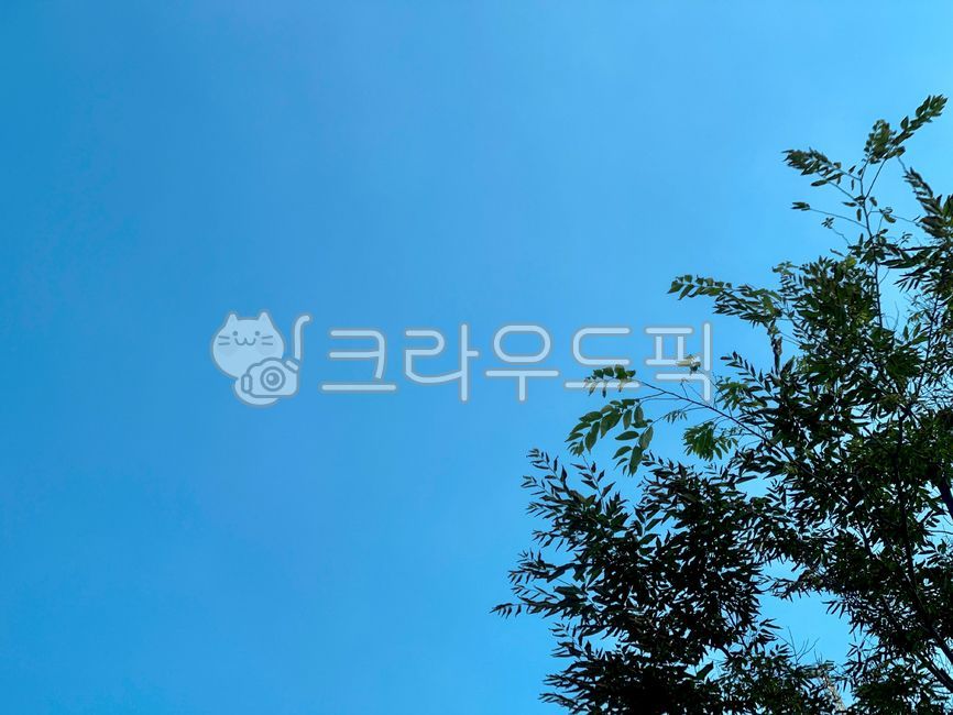 화창한, 파란하늘, 맑은하늘, 자연, 여름, 사진,이미지,일러스트,캘리그라피 - danie작가