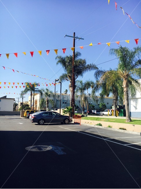 road,도로,asphalt,아스팔트,교차로,intersection,tarmac,나무,tree,차,car,가랜드,하늘,sky,미국,losangeles,로스앤젤레스,sight,landscape,scenery,scene,view,풍경,경관