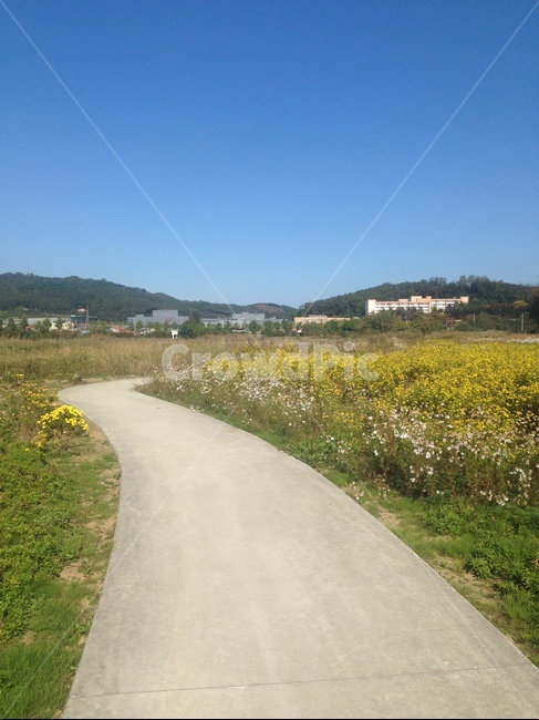 길,산책길,자전거길,자연,풍경,휴식,road,bicycle,nature,field,도로,outdoors,자연,풍경,nature,landscape,옥외,grassland,목초지,들