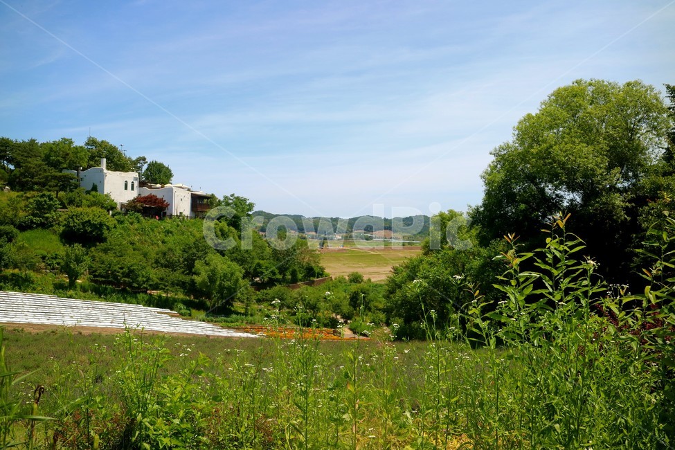 연천,허브마을,꽃,나무,산,풍경,풀,잡초,논,밭,꽃밭,자연,풍경,nature,landscape,grassland,목초지,field,들,outdoors,옥외