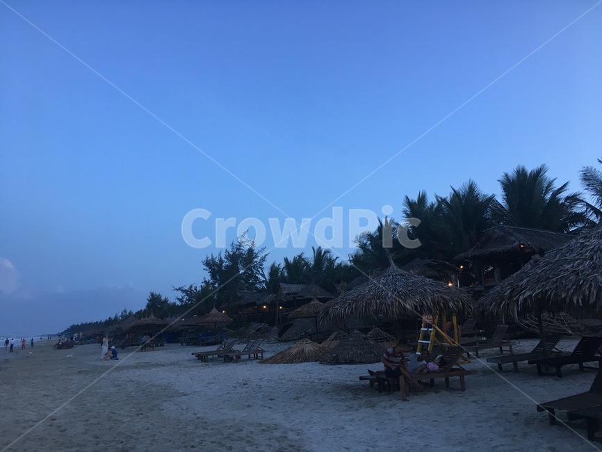바다,해변,야자수,풍경,자연,구름,하늘,나무,선베드,야자나무,파라솔,모래,beach,sea
