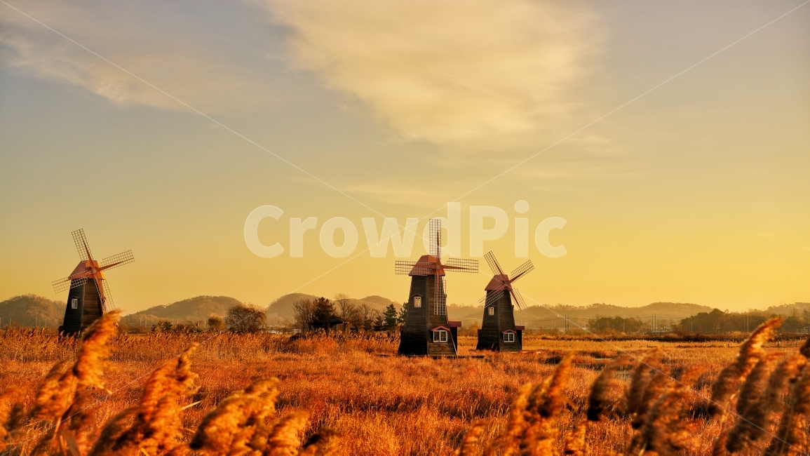 Incheon Attractions,Incheon,wetland park,Sorae Wetland Ecological Park,windmill,Sorae Port,sight,Sorae Marsh,Sorae