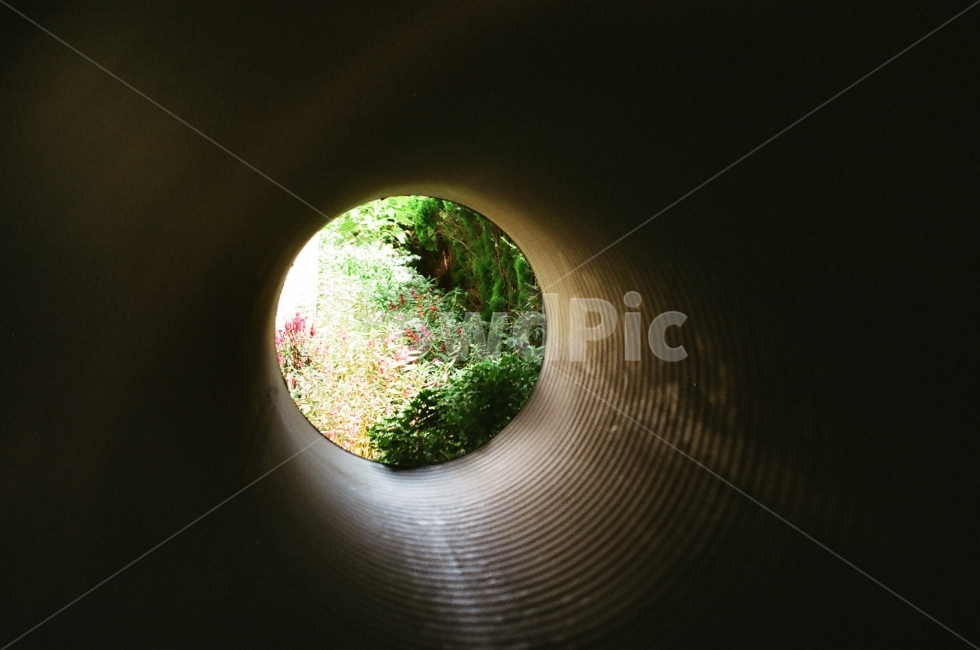 터널,어둠,희망,꽃,파이프,기대,필름,동네,통로,식물,자연,plants,nature
