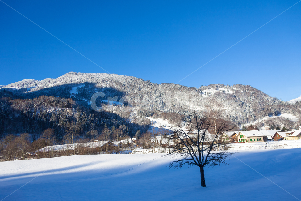 스위스,하늘,겨울,산,눈덮인,눈,숲,겨울,계절,winter,season,자연,풍경,nature,landscape,해외,외국,세계,foreign,oversea,world,세계자연풍경,해외자연풍경,외국자연풍경,world nature landscape,outdoors,옥외,plant,식물,tree,나무,mountain