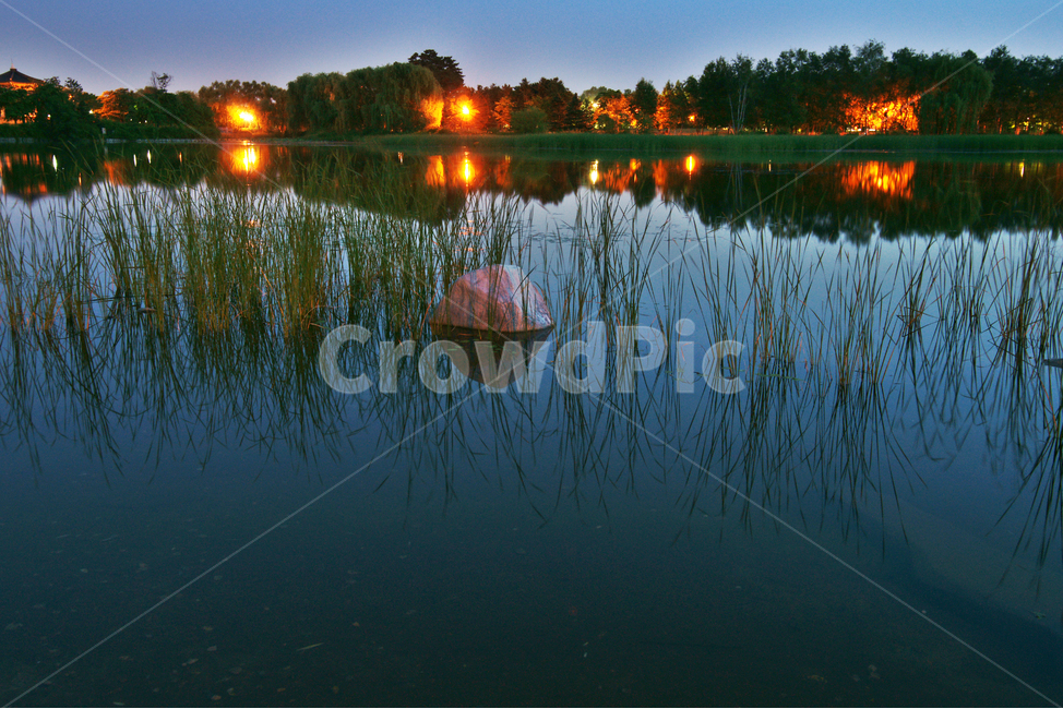 호수,일산,공원,반영,조명,수풀,자연,풍경,nature,landscape,야경,밤,nightscape,night,outdoors,옥외,water,물