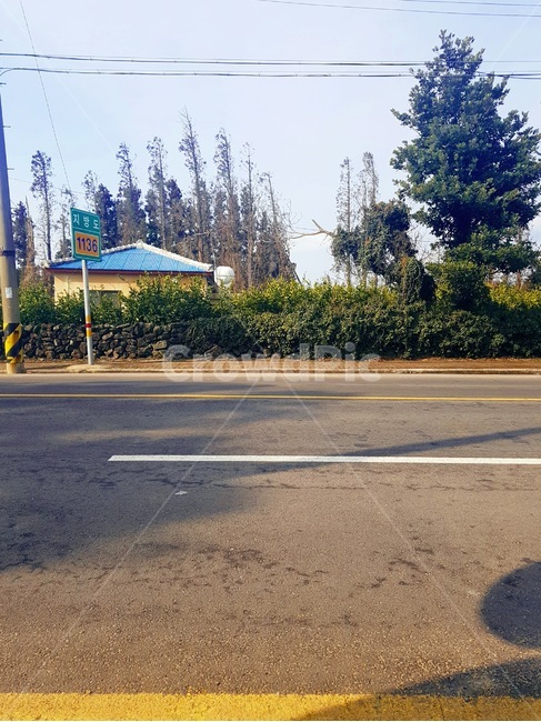 풍경,시골길,제주도,오후,도로