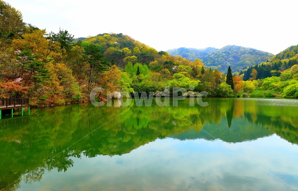 자연,물,봄,반영,세량지,화순,풍경,저수지,화순가볼만한곳,자연,풍경,nature,landscape,한국자연풍경,한국자연경관,korea nature landscape,water,outdoors,옥외,lake,호수