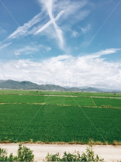 nature,자연,들,field,countryside,grassland,자연,풍경,nature,landscape,농업,농사,agriculture,farming,farming industry,outdoors,옥외,목초지