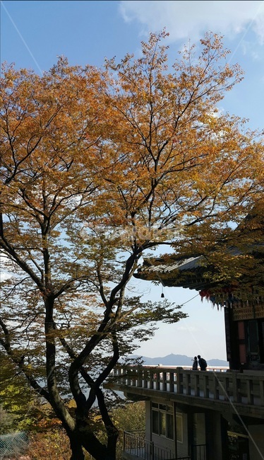 풍경,절,계절,가을,단풍,등산,나무,연인,커플,temple,autumn,fall,사랑,고요,tree,가을,계절,fall,autumn,season,한국전통,한국문화,korean traditional,korean culture,건축물,건물외관,exterior,building,structure,architecture,construction,plant,식물,tree trunk,나무 줄기
