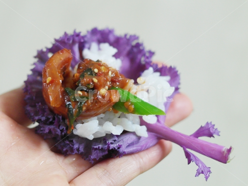 쌈,오징어쌈,식사,한끼,밥,쌈채소,음식,식재료,요리,food,cook,meal,dishes,food reserves,한식,한국음식,한국요리,korean food,korean dishes,korean meal,korean cook