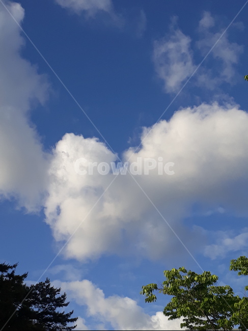 맑은,하늘,구름,sky,cloud,파란하늘