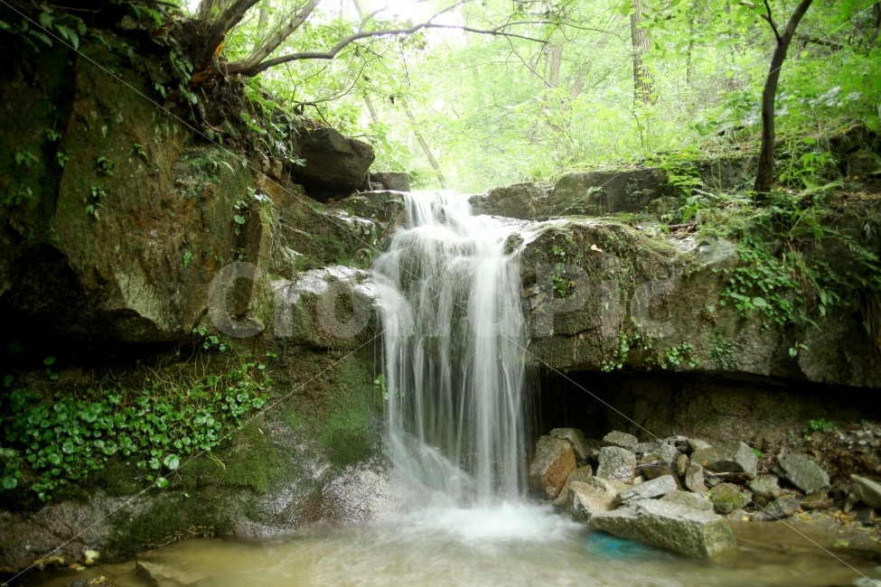 폭포,봄,숲,순수,자연,계곡,자연,풍경,nature,landscape,여름,계절,summer,season,water,물,outdoors,옥외,river,강,waterfall