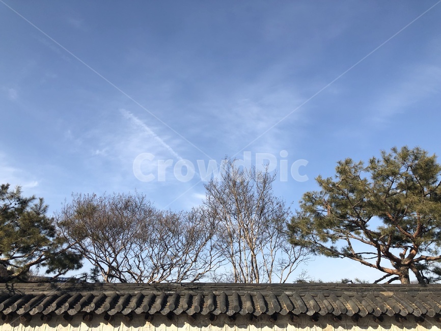 지붕,나무,하늘,sky,구름,한옥지붕
