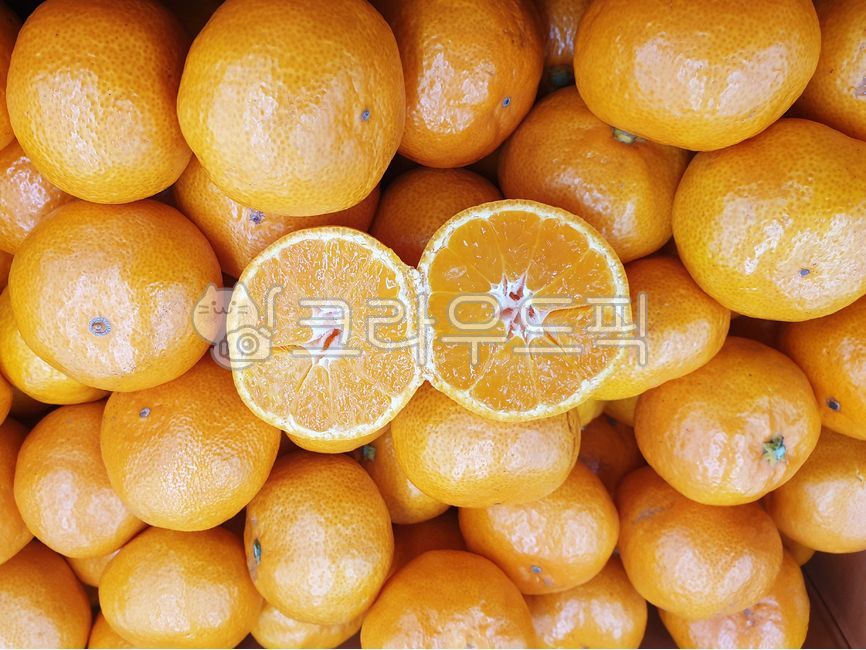 귤,감귤,금귤,조생귤,제주귤,겨울과일,귤단면,밀감,제주밀감,감귤류,주황색과일,orange,citrus,tangerine,citrusfruit,감귤류과일,food,fruit,과일