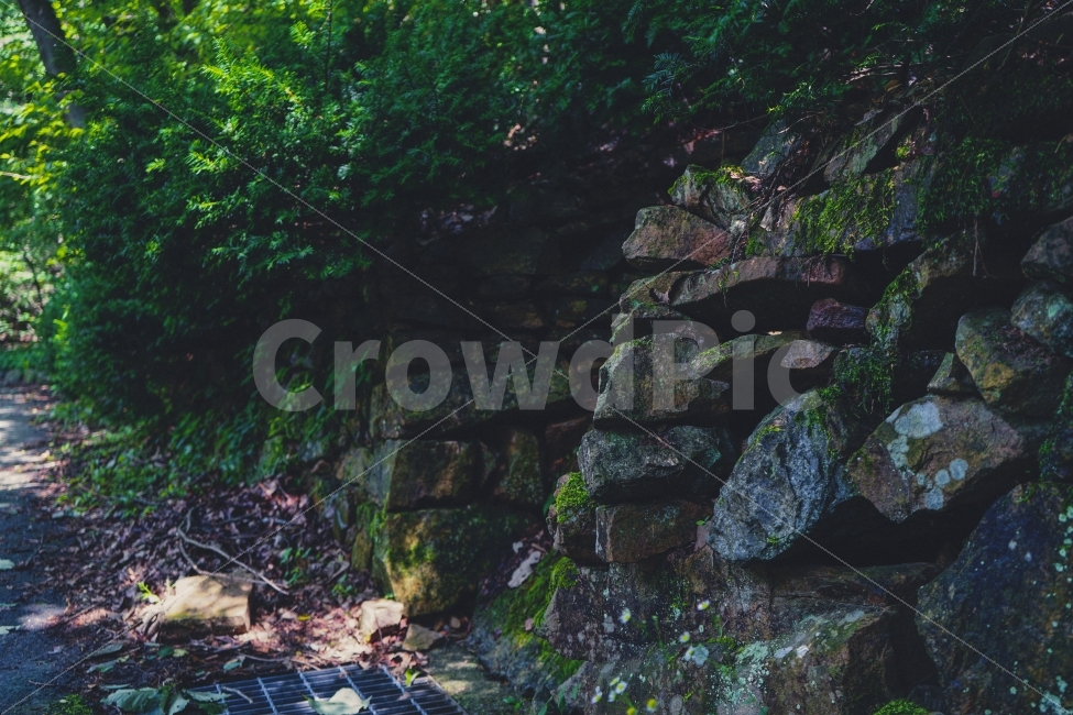 자연풍경,여름,식물,휴식,여행,힐링,돌담,자연,풍경,nature,landscape,여름,계절,summer,season