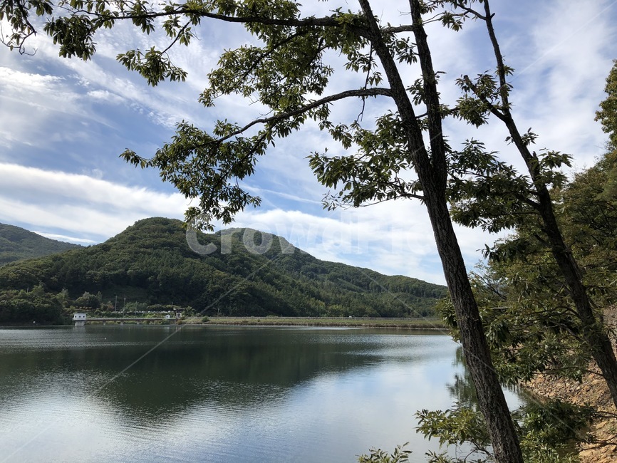 나무,물,호수,하늘,풀,자연,풍경,nature,landscape,water,outdoors,옥외,tree,plant,식물