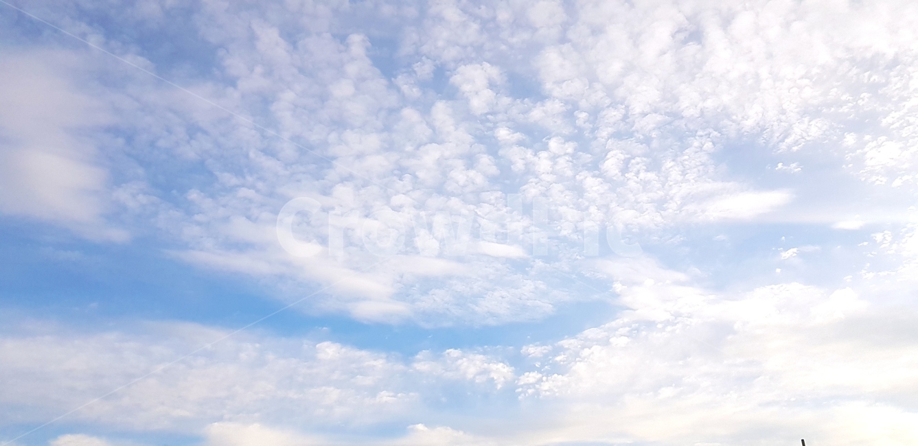 하늘,날씨,구름,햇빛,뭉게뭉게