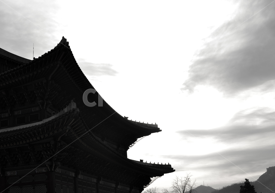 건물,기와,전통가옥,역광,실루엣,building