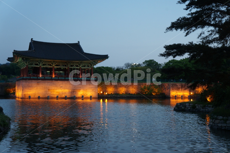 night view,pond,Hanok,nature,Anapji Pond,Donggung Palace and Wolji Pond,tileroofed house,tree,cultural property,cultural heritage,Gyeongju