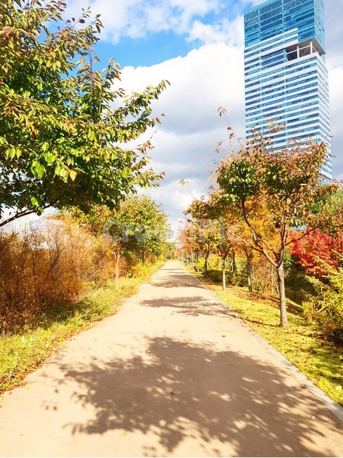 길,가을,풍경,자연,구름,하늘,숲속,공원,힐링,숲길,휴식,도시,풍경,city,landscape,tree,나무,plant,식물