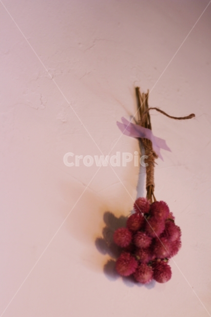 드라이플라워,dryflower,인테리어,감성,꽃,여백,식물,자연,plants,nature,꽃,flower,실내용화초,화분,화초,house plant,감성,sensible,feeling,인테리어,실내디자인,interior design