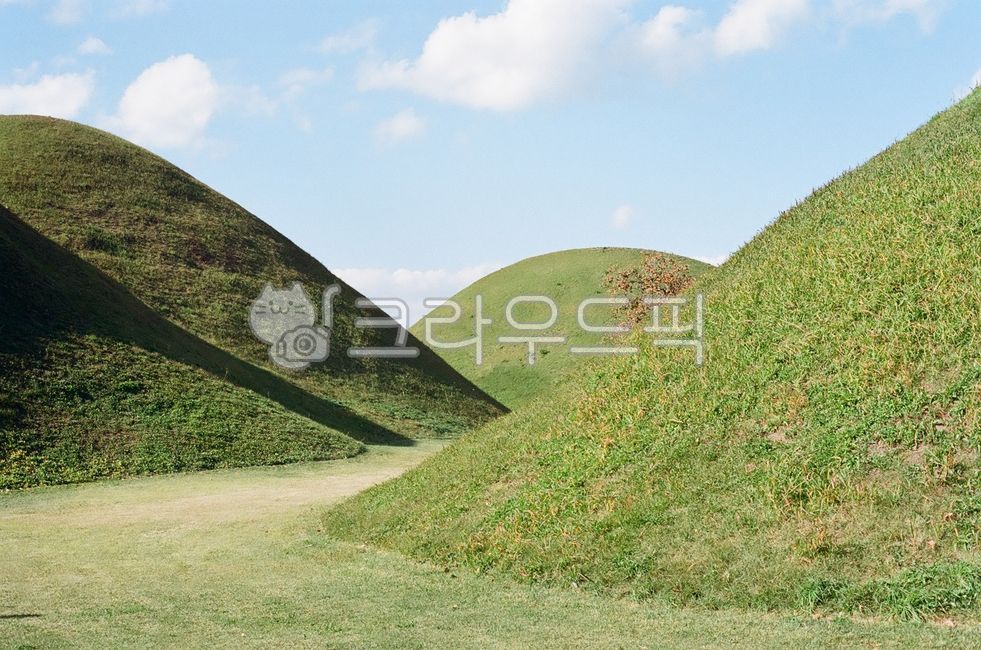 경북,경주시,경주,가을,왕릉,노서리고분군