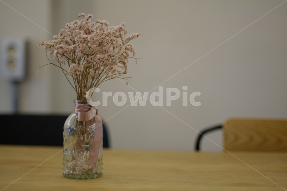 꽃,카페,인테이러,배경,드라이플라워,소품,감성,interior,cafe,dryflower,배경화면,드라이,화병,꽃,flower,실내용화초,화분,화초,house plant,인테리어,실내디자인,interior design