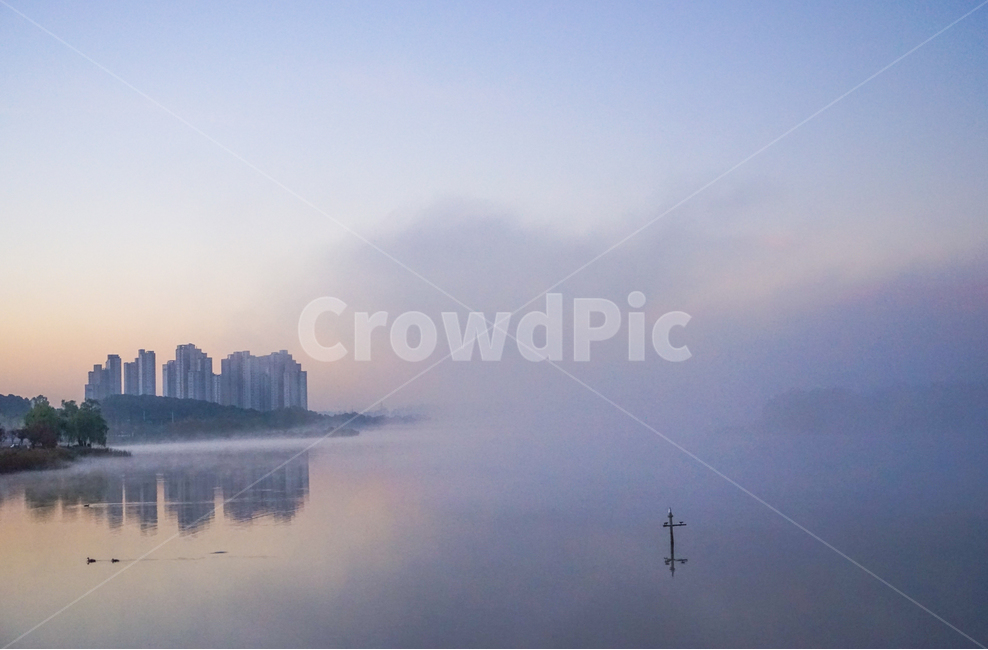 호수,저수지,계절,가을,안개,물안개,새벽,여명,도시,풍경,city,landscape,한국도시풍경,한국도시경관,korea cityscape,nature,자연,weather,날씨,outdoors,옥외