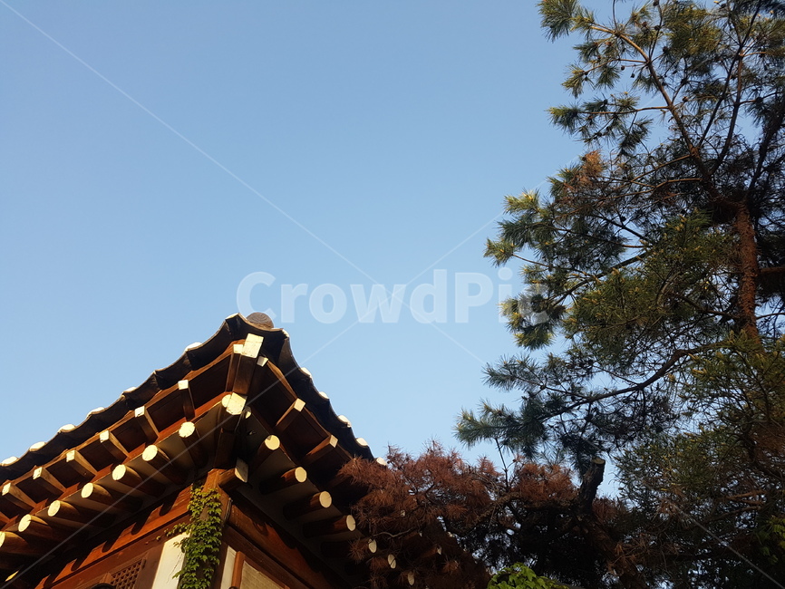 북촌,한옥,하늘,기와,처마,한국,한국식,소나무