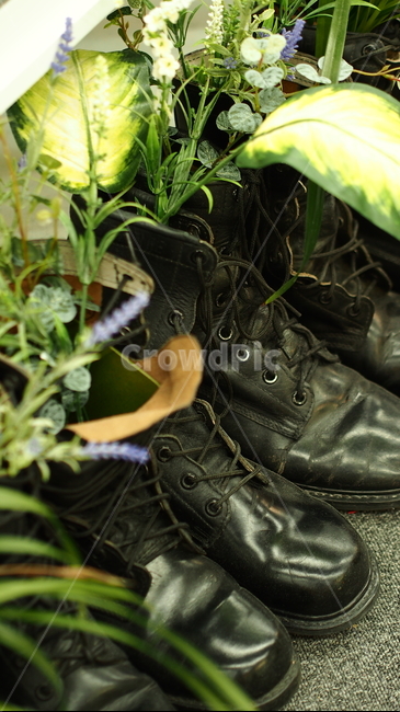 구두,신발,식물,장식,풀,화분,shoes,plant,grass,decoration