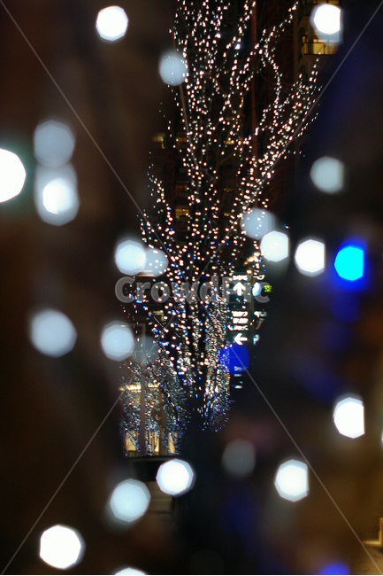 보케,boke,전구,전등,크리스마스,christmas,밤,night,나무,거리,겨울,winter,road,town,도시,city,겨울,계절,winter,season,야경,밤,풍경,nightscape,night,landscape,lighting,조명,accessories,부속품,accessory,부속물,bead,구슬