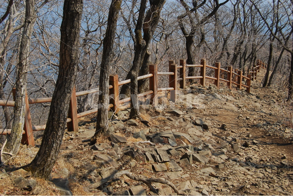 울타리,fence,tree,나무,돌,stone,식물,자연,plants,nature,나무,trees,wood