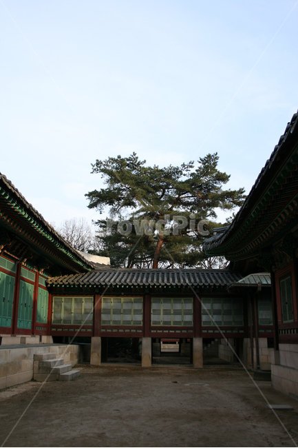 창덕궁,희정당,한국의궁,세계문화유산,문화유산,한국,전각,하늘,전통,한국전통,한국문화,korean traditional,korean culture,랜드마크,landmark,tourist attraction,한국랜드마크,한국관광지,한국명소,korea landmark,korea tourist attraction,건축물,건물외관,exterior,building,structure,architecture,construction