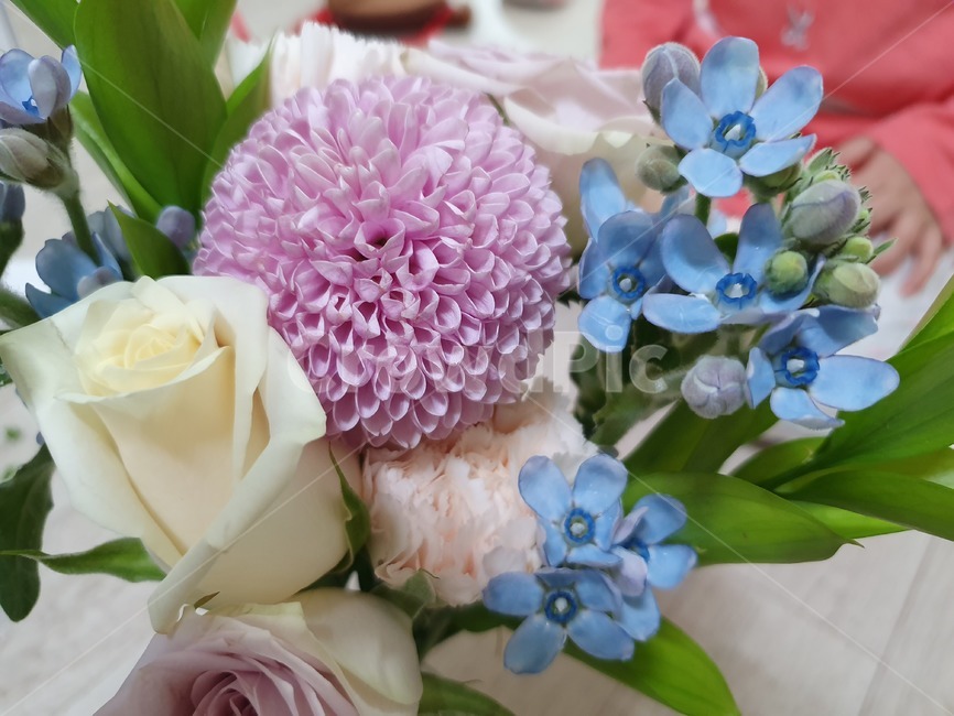 꽃,flower,꽃다발,blossom,봄