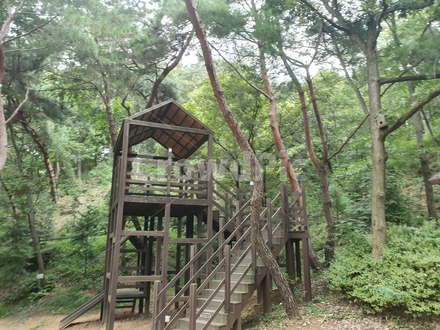 자연,목재,놀이터,캠핑장,놀이