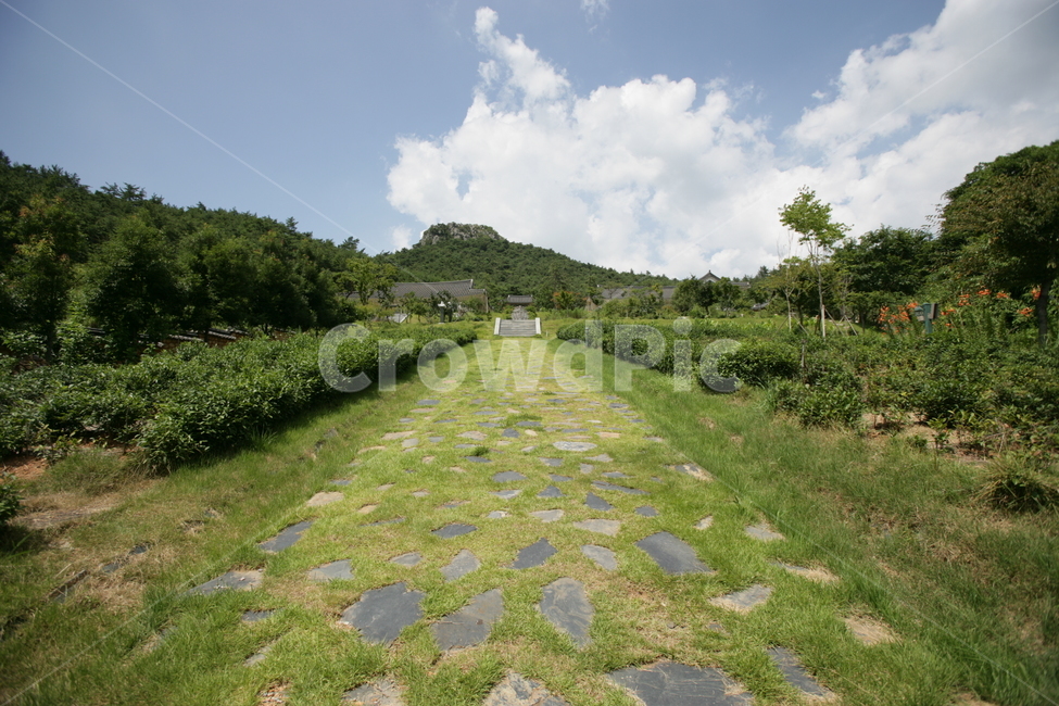 outdoors,옥외,nature,자연,시골,평화로운