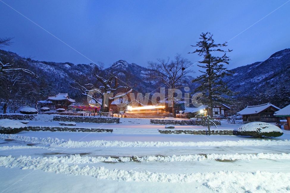 내소사,설경,사찰,국립공원,변산,겨울,계절,winter,season,자연,풍경,nature,landscape,한국자연풍경,한국자연경관,korea nature landscape,plant,식물,tree,나무