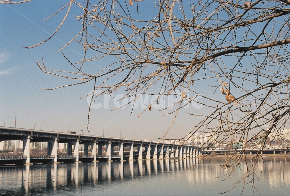 반포한강공원,반포,한강,필름사진,나뭇가지,도시,풍경,city,landscape,water,물,nature,자연,river,강,outdoors,옥외,bird,새,animal,동물