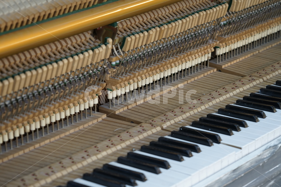 피아노,건반,piano,하양,까망,악기,음향기기,musical instrument,musical equipment