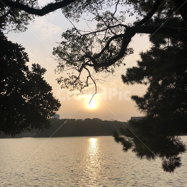 산,바다,해,자연,나무