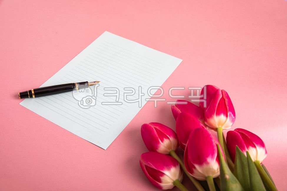 꽃,튜울립,빨간튜울립,빨간꽃,봄꽃,봄,꽃잎,칼라지,색지,종이,색종이,배경지,아름다운,식물,편지지,메모지,메모장,팬,볼팬,붉은꽃,배경,folwer,blossom,tulip,redtulip,redflower,spring,springflowers,cikiroaoer,coloredpaper,paper,confetti,background,backgroundpaper,plant,petal,beautiful,notepad,message,pan,fountainpen,만년필,예쁜,pretty,향기로운,fragrant,꽃봉오라,flowerbuds